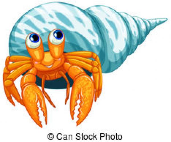 Hermit Crab clipart