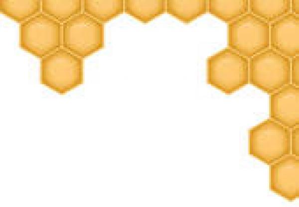 preview Honeycomb clipart