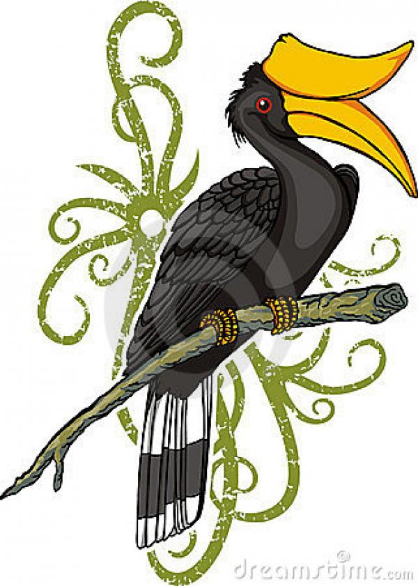 Hornbill clipart