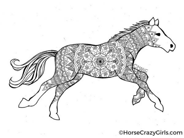 preview Horse coloring