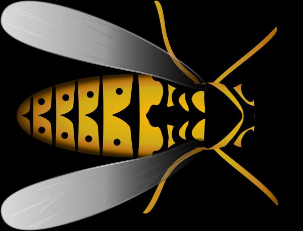 Hoverfly clipart