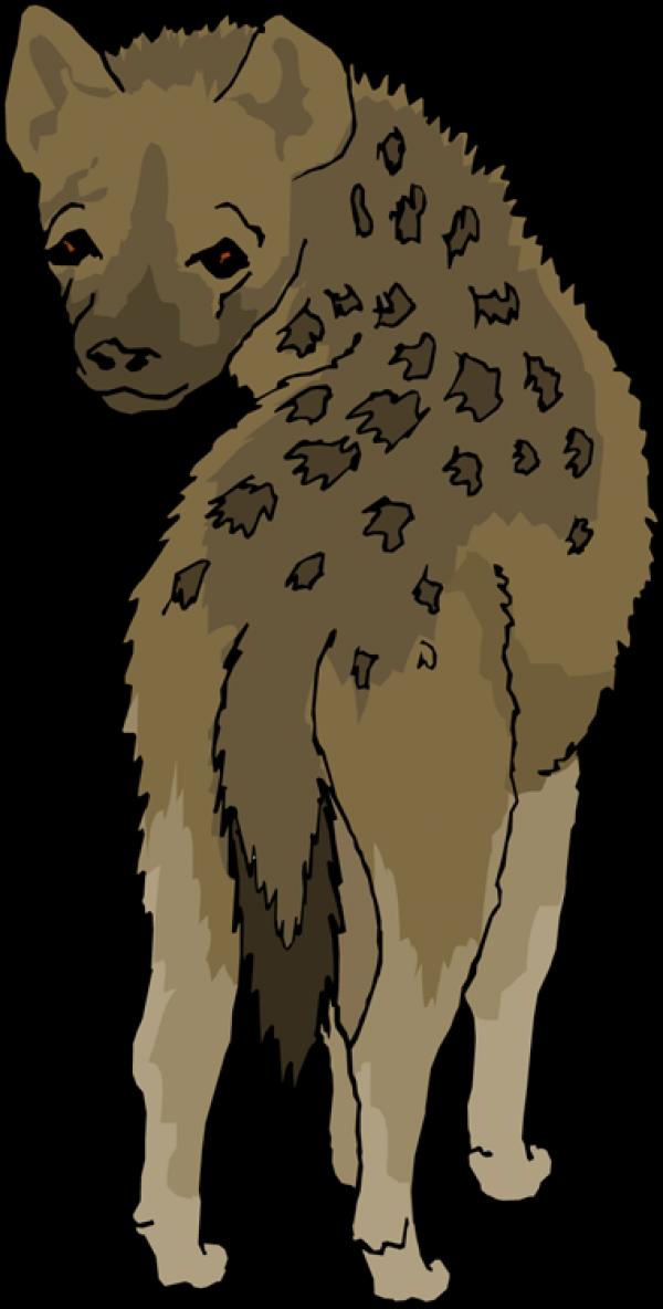 Hyena clipart