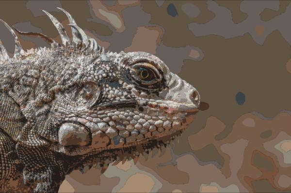 preview Iguana svg