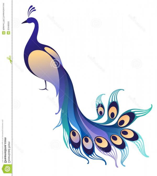 Indian Peafowl clipart