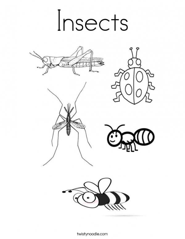 preview Insect coloring