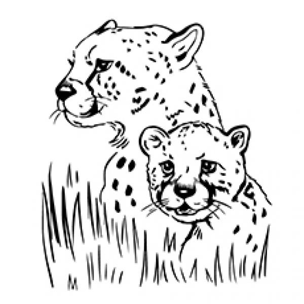 Jaguar coloring