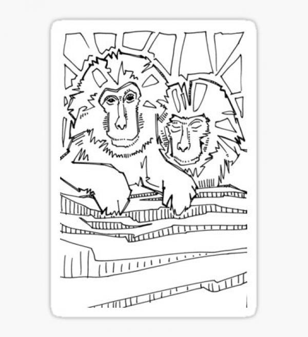 preview Japanese Macaque coloring