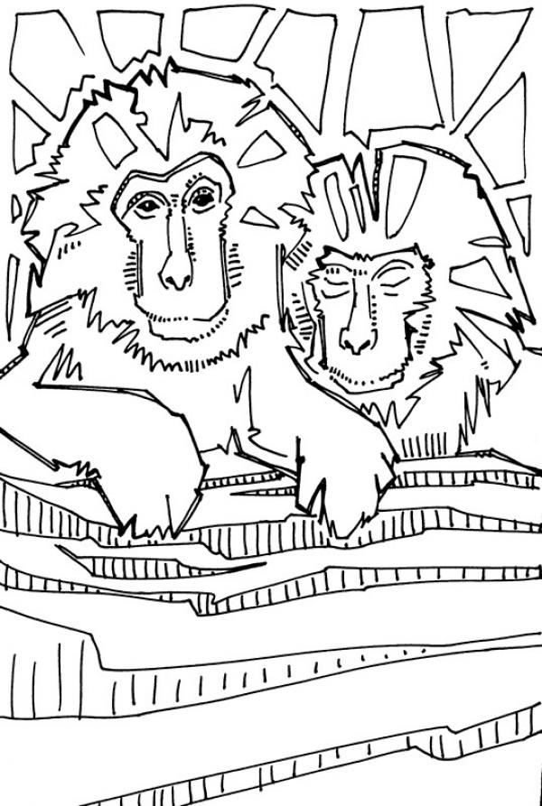 Macaque coloring