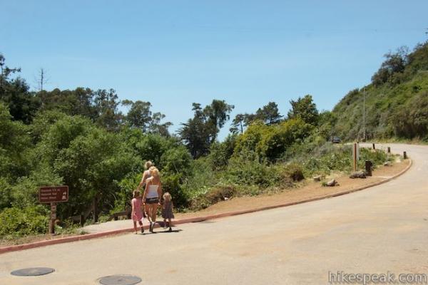 preview Julia Pfeiffer Burns State Park coloring