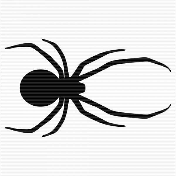 Jumping Spider clipart