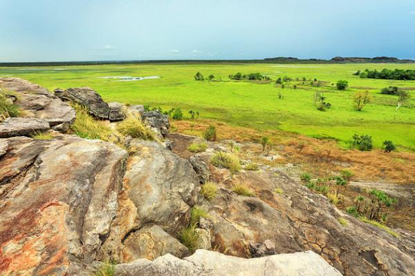 preview Kakadu National Park coloring