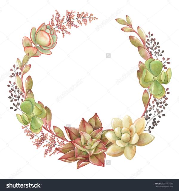 preview Kalanchoe clipart