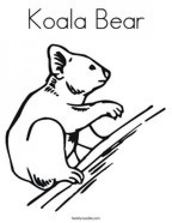 preview Koala Bear coloring