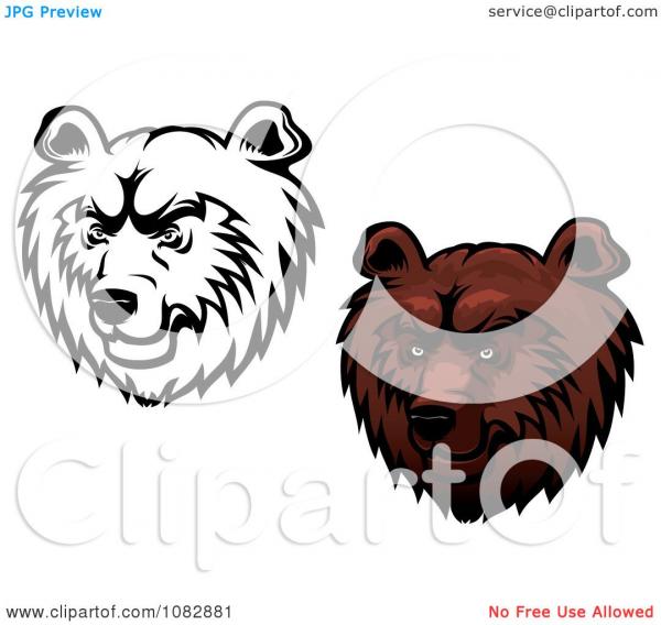 Kodiak Bear clipart