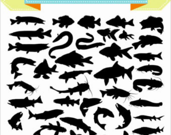 preview Koi Carp svg