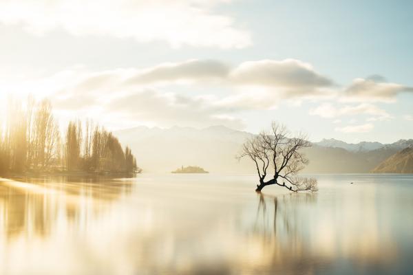 Lake Wanaka svg