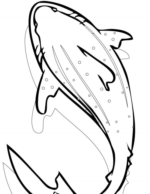 preview Sharkwhale coloring