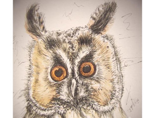 preview Long Eared Owl svg