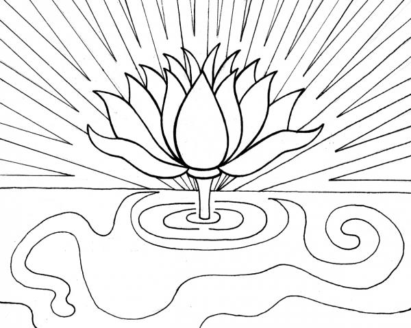 Lotus coloring