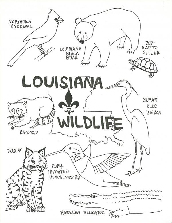 preview Louisiana coloring