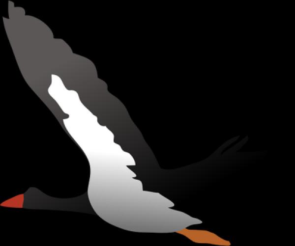 Magpie svg