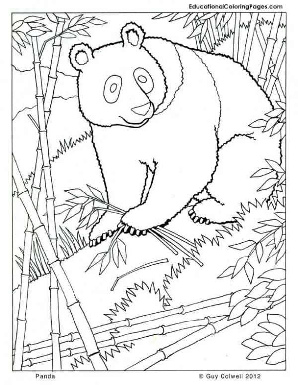 preview Mammal coloring