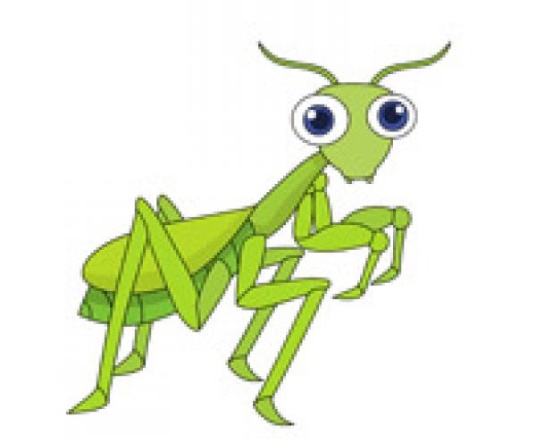 Praying Mantis clipart