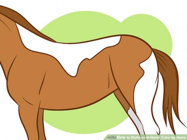 preview Mares Tails clipart