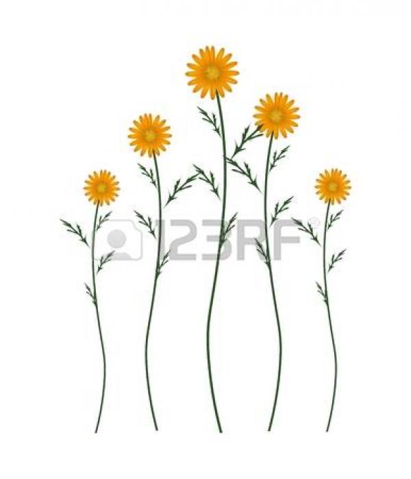 preview Marguerite clipart