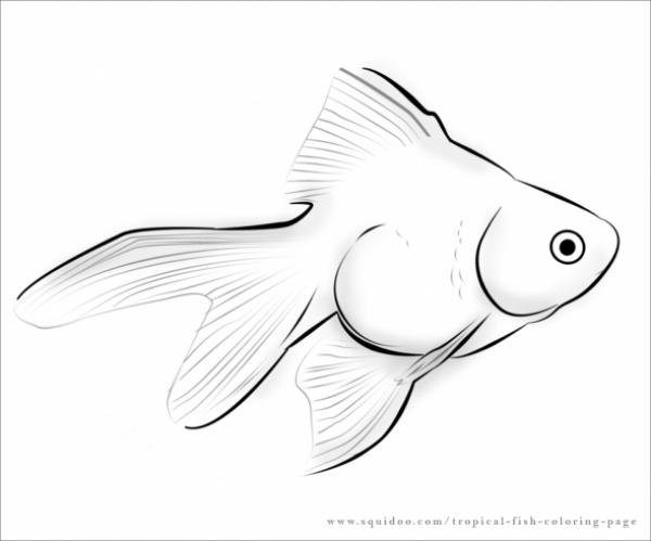 preview Marine Fish coloring