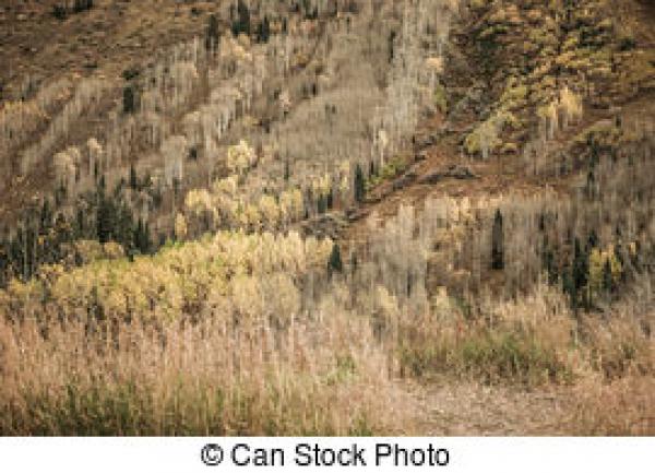 preview Maroon Bells clipart