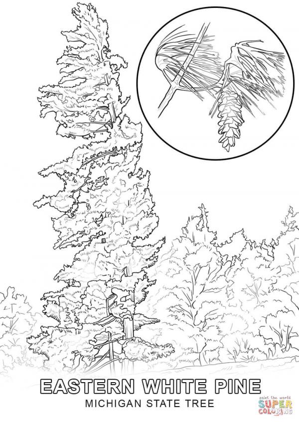 preview Michigan coloring