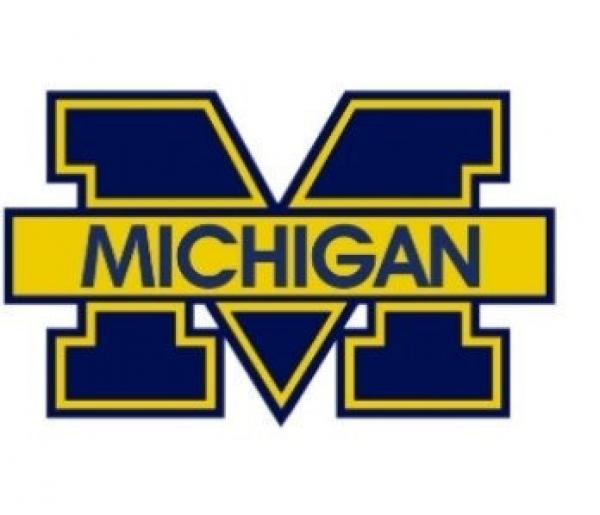 preview Michigan svg