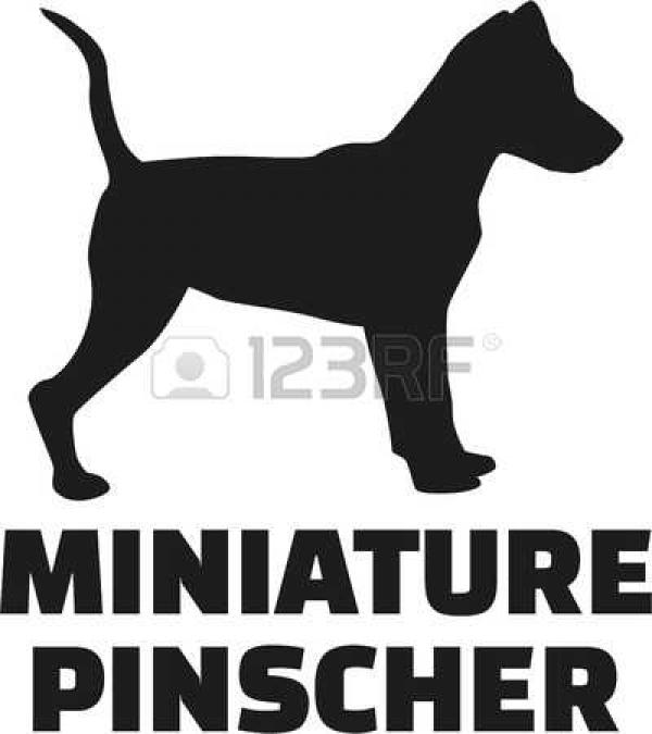 Miniature Pinscher clipart