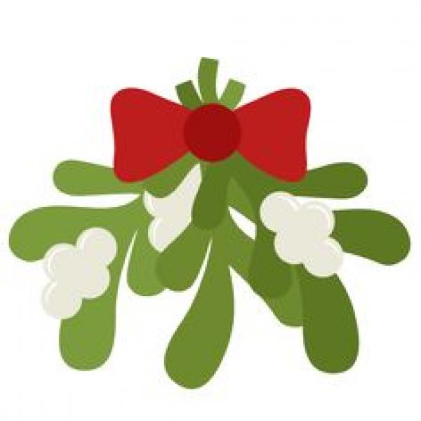 preview Mistletoe Bird svg