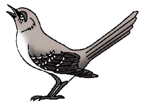 Mockingbird clipart