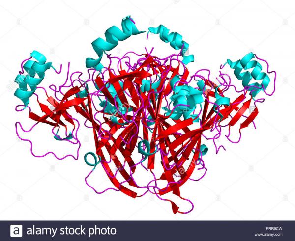 Molecule coloring