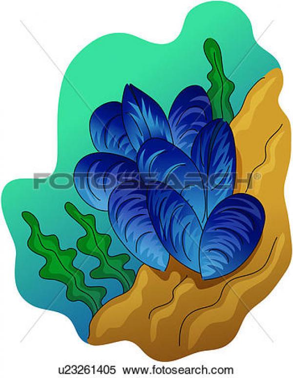 Mollusc clipart