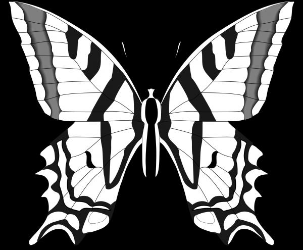 Monarch Butterfly svg