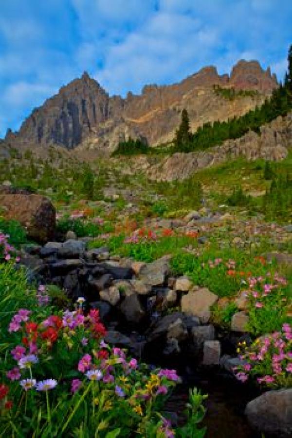 Mount Three Fingered Jack coloring