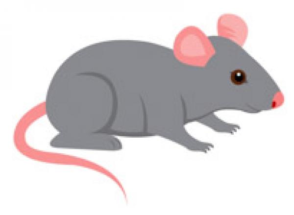 preview Mouse clipart