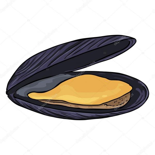 preview Mussel coloring