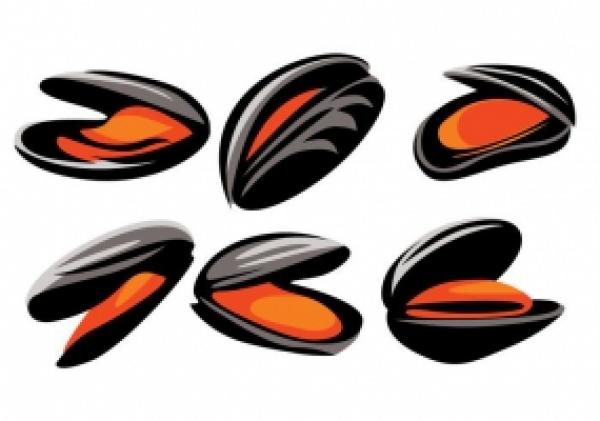 preview Mussel svg