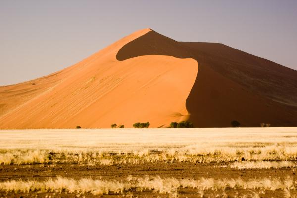 Namib Desert clipart