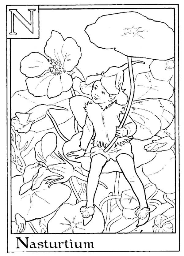 preview Nasturtium coloring