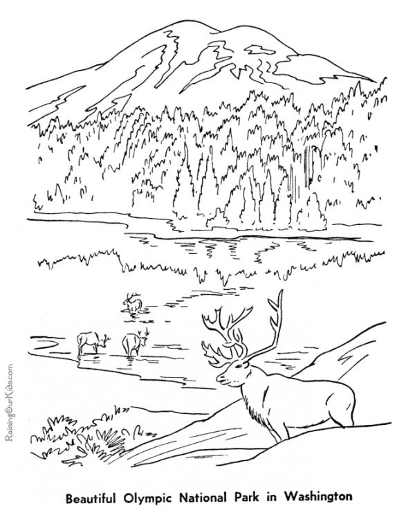 National Park coloring
