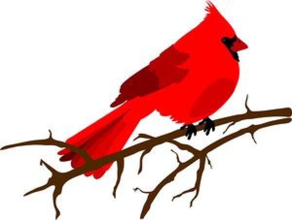 Northern Cardinal clipart