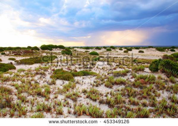 preview Nullarbor Coast clipart