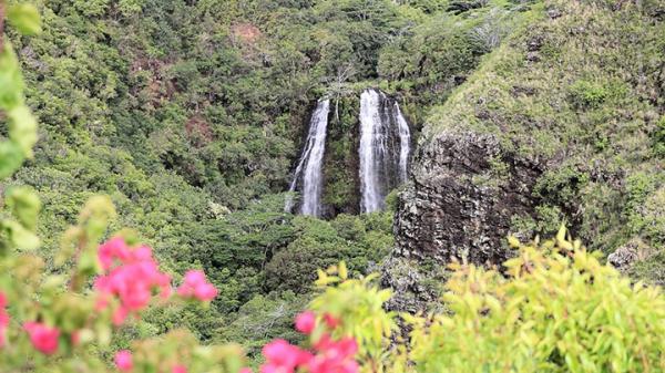 preview Opaeka'a Falls coloring