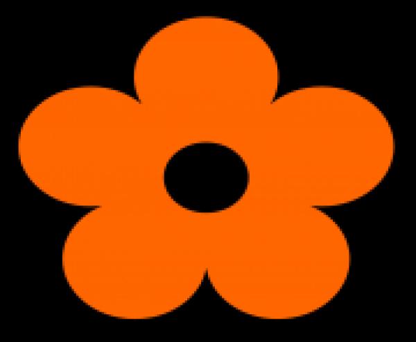 Orange Flower clipart